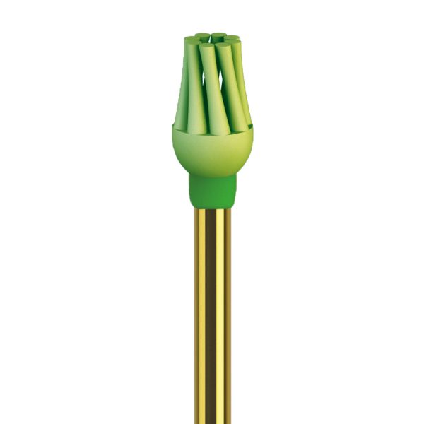 DENTISTRY POLISHERS